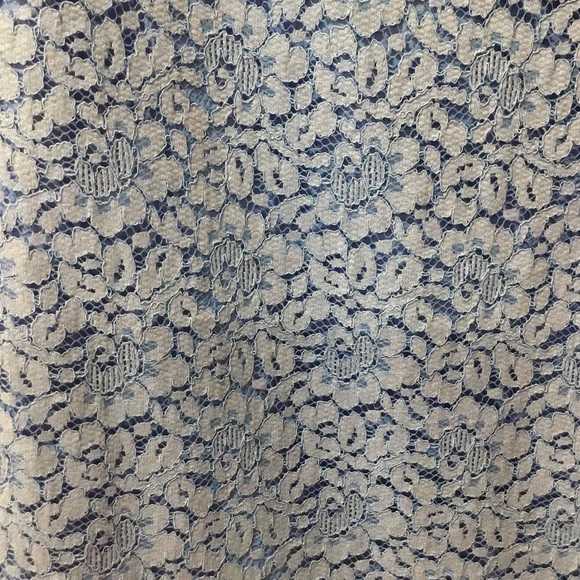 Banana Republic Sky Blue Lace Dress - Picture 4 of 5